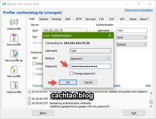 cach-dang-nhap-vao-vps-voi-bitvise-ssh (2)