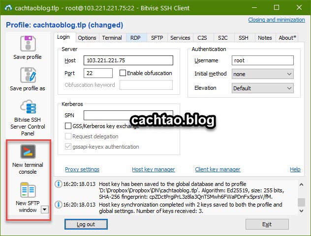 cach-dang-nhap-vao-vps-voi-bitvise-ssh (3)