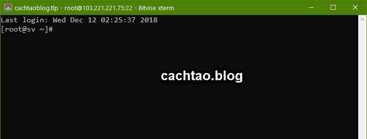cach-dang-nhap-vao-vps-voi-bitvise-ssh (4)