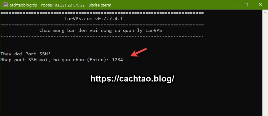 cach-cai-dat-vps-bang-larvps (1)