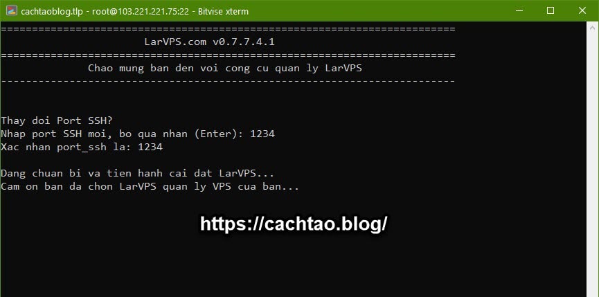cach-cai-dat-vps-bang-larvps (2)