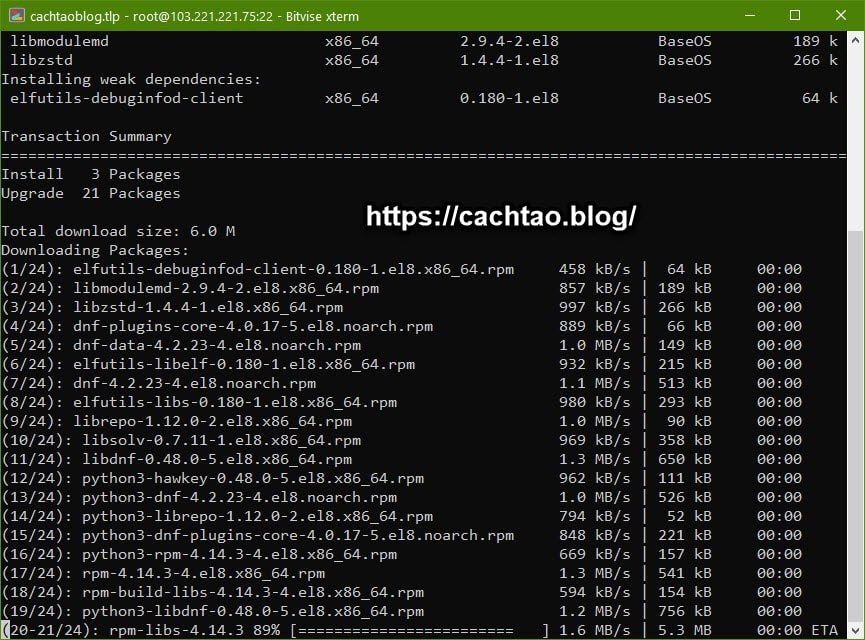 cach-cai-dat-vps-bang-larvps (3)