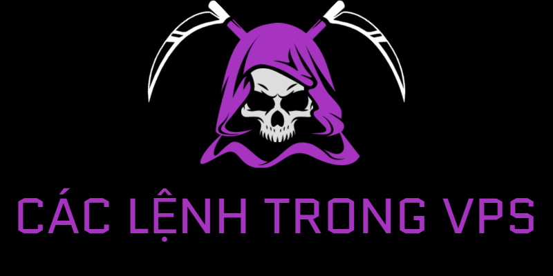 cac-lenh-trong-vps
