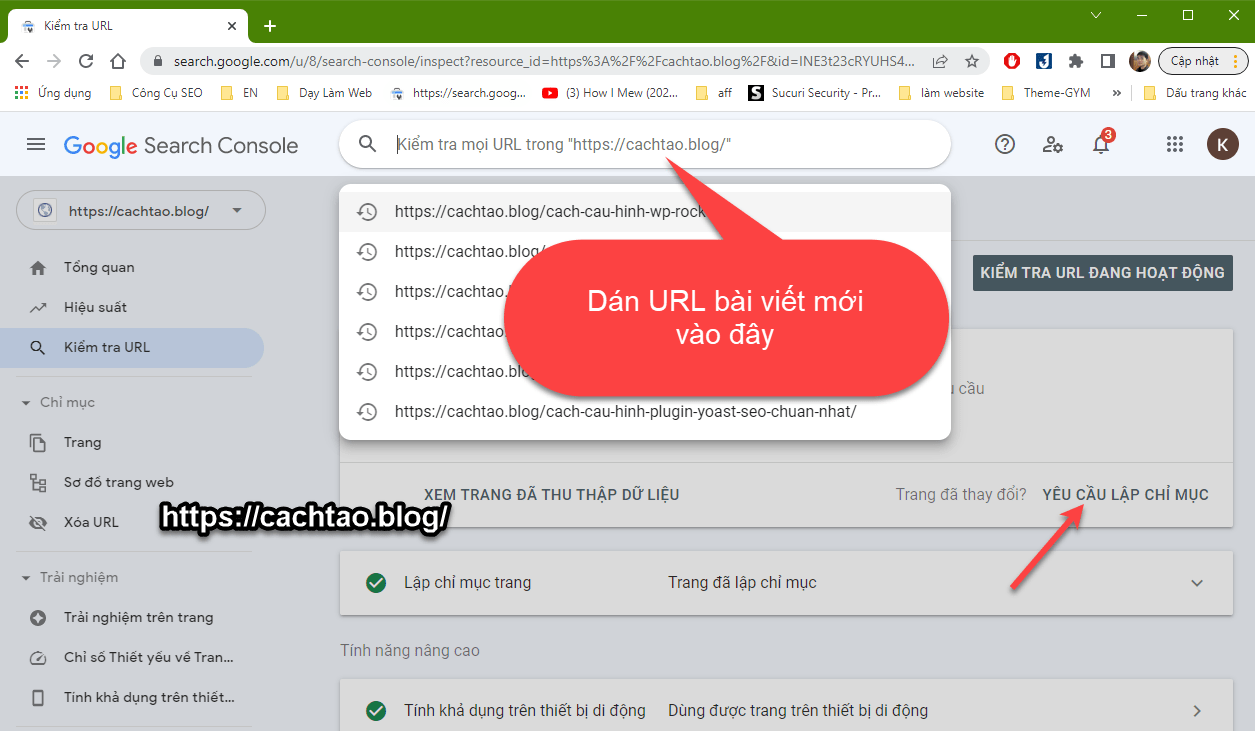 cach-cai-dat-google-search-console-cho-web (5)
