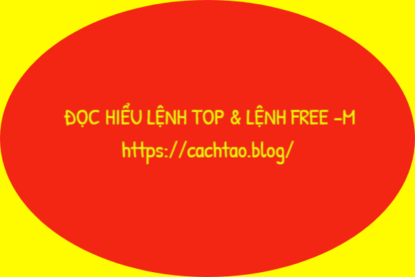 cach-doc-hieu-lenh-top-trong-vps