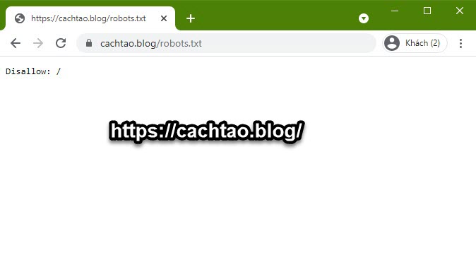 tao-file-robots-txt-cho-web (10)