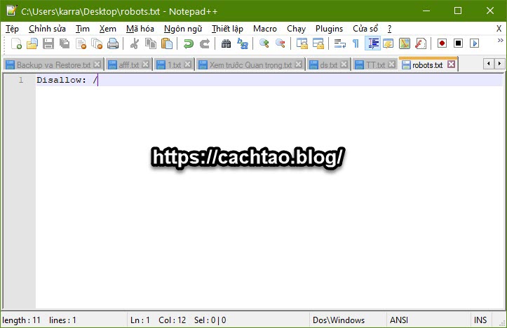 tao-file-robots-txt-cho-web (2)