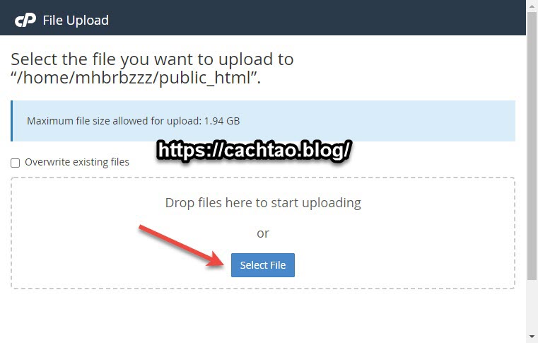 tao-file-robots-txt-cho-web (5)